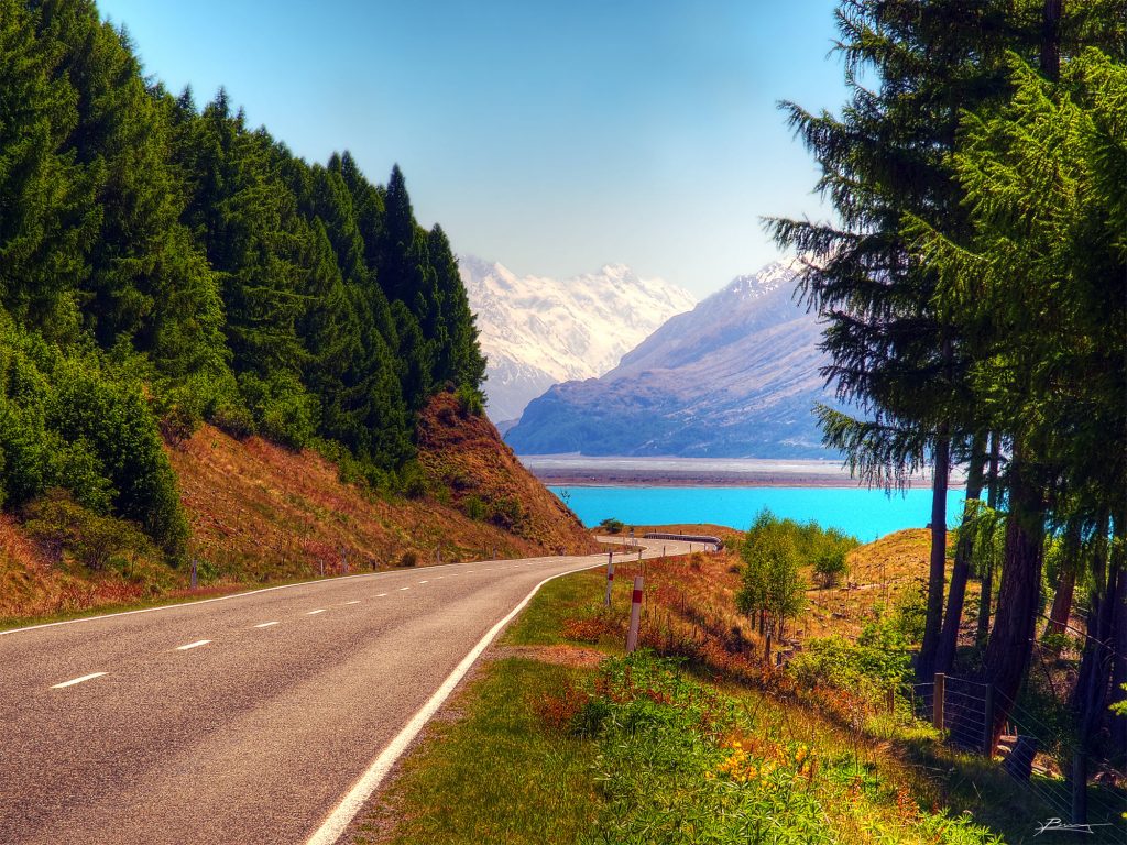 New Zealand Travel Service